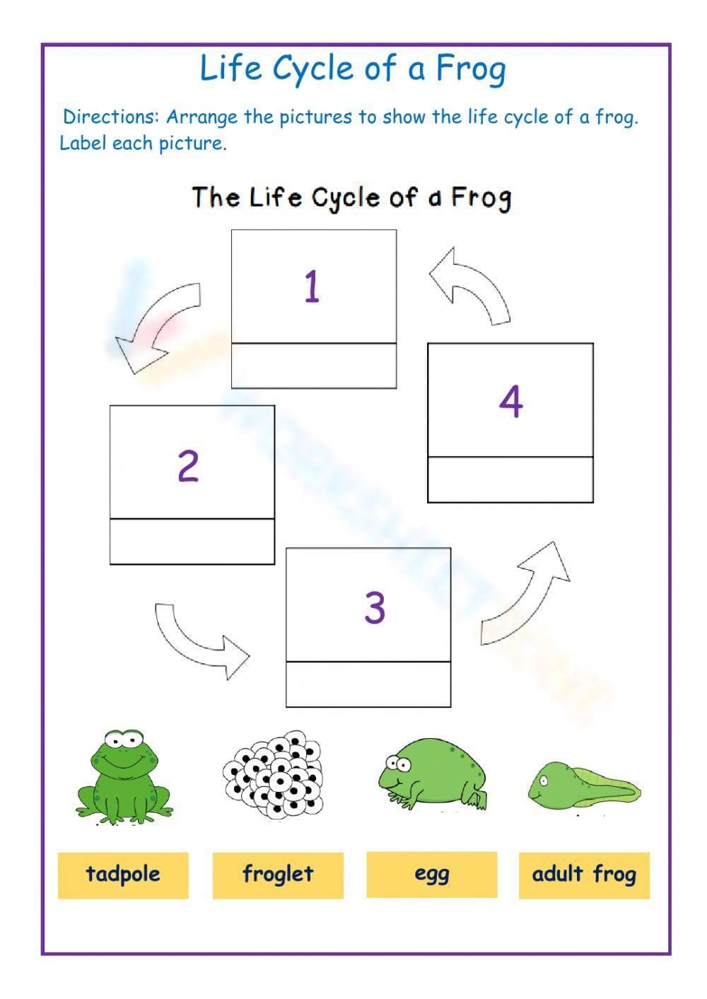 Life cycle of a frog - Page 1