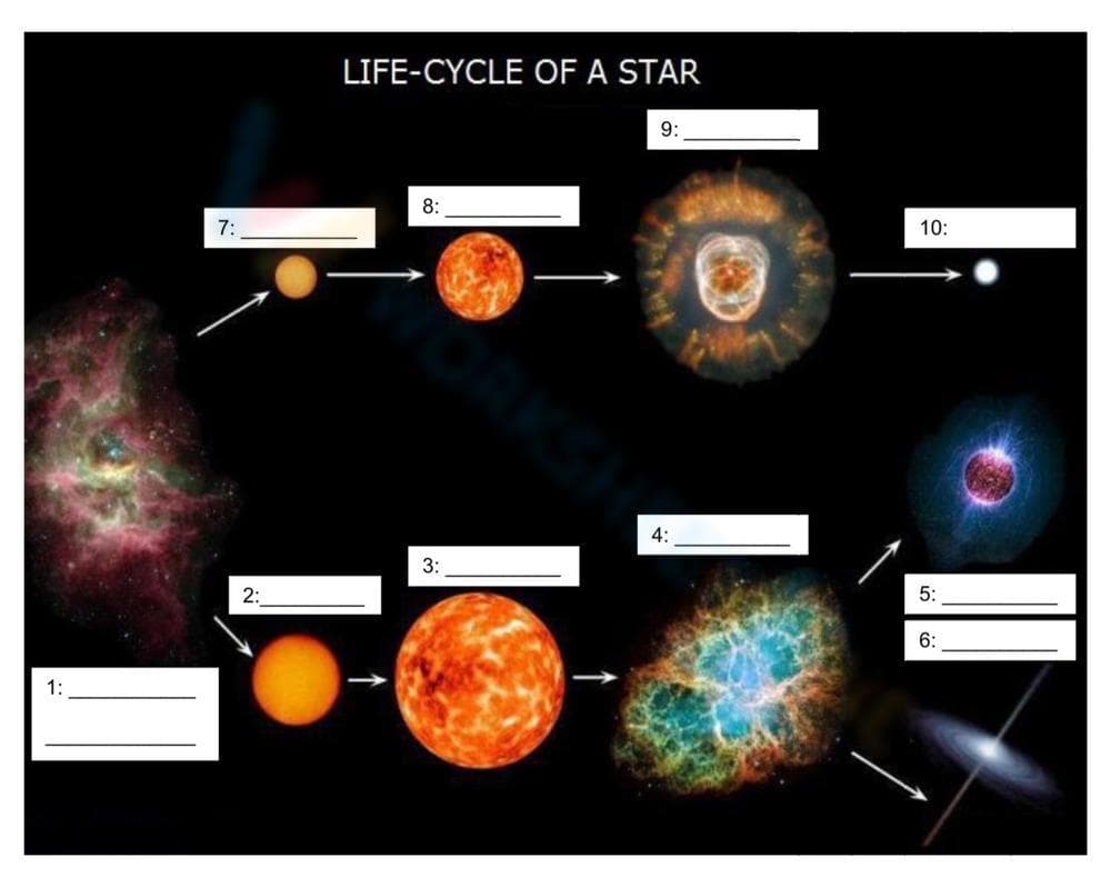 Discover Star Life Cycle Stages - Page 1
