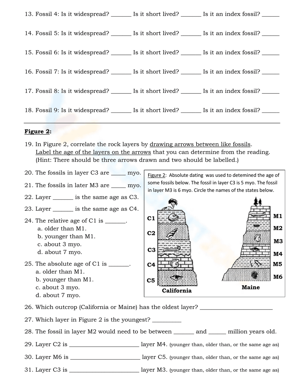 Explore Fossils with this Engaging Worksheet - Page 3