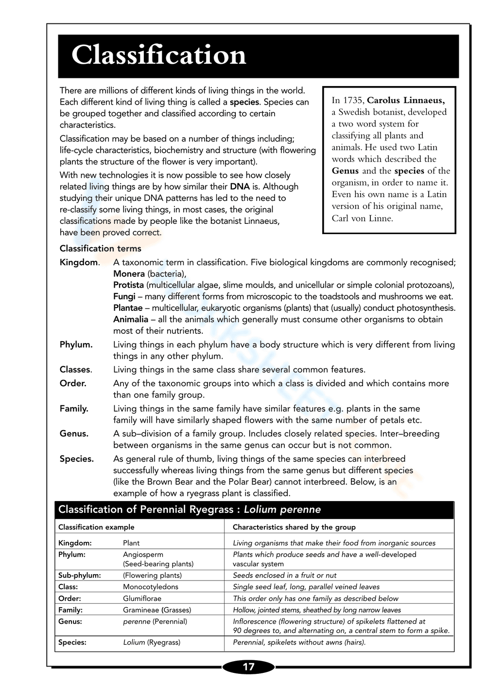 Seed Germination Worksheet: Understand Plant Growth - Page 17