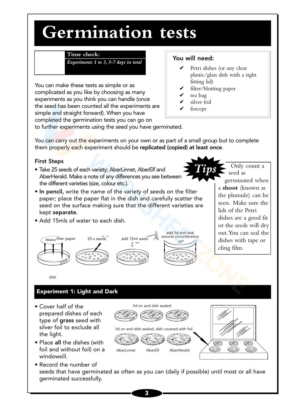 Seed Germination Worksheet: Understand Plant Growth - Page 3