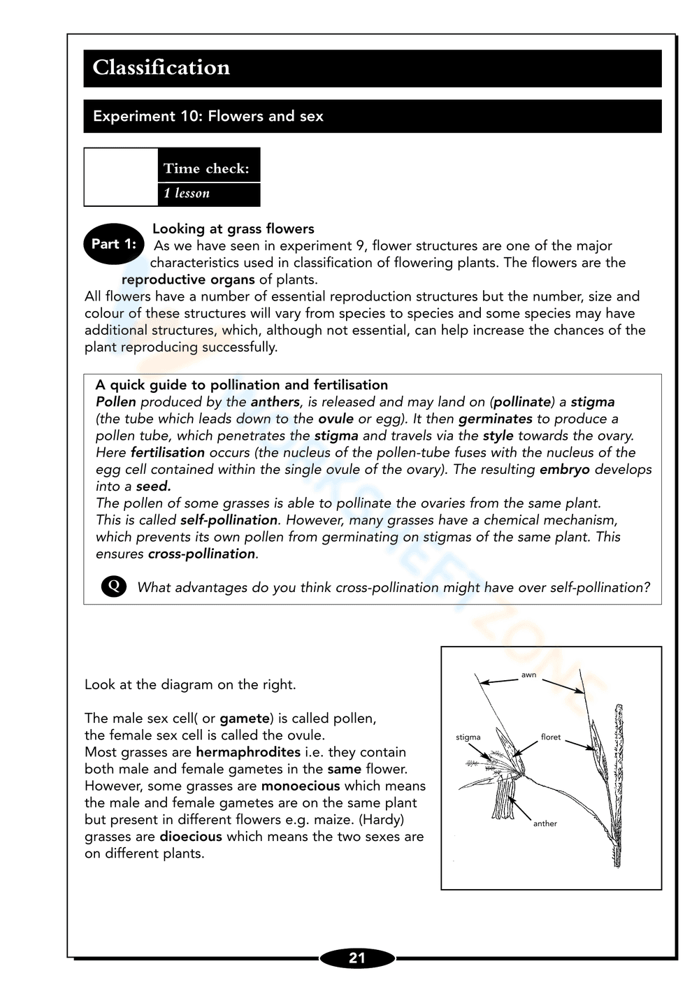 Seed Germination Worksheet: Understand Plant Growth - Page 21