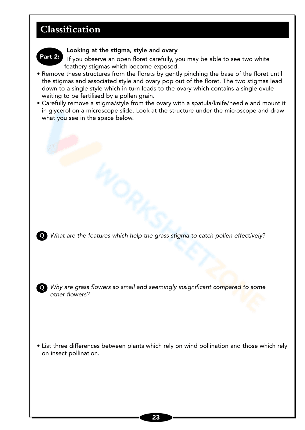 Seed Germination Worksheet: Understand Plant Growth - Page 23