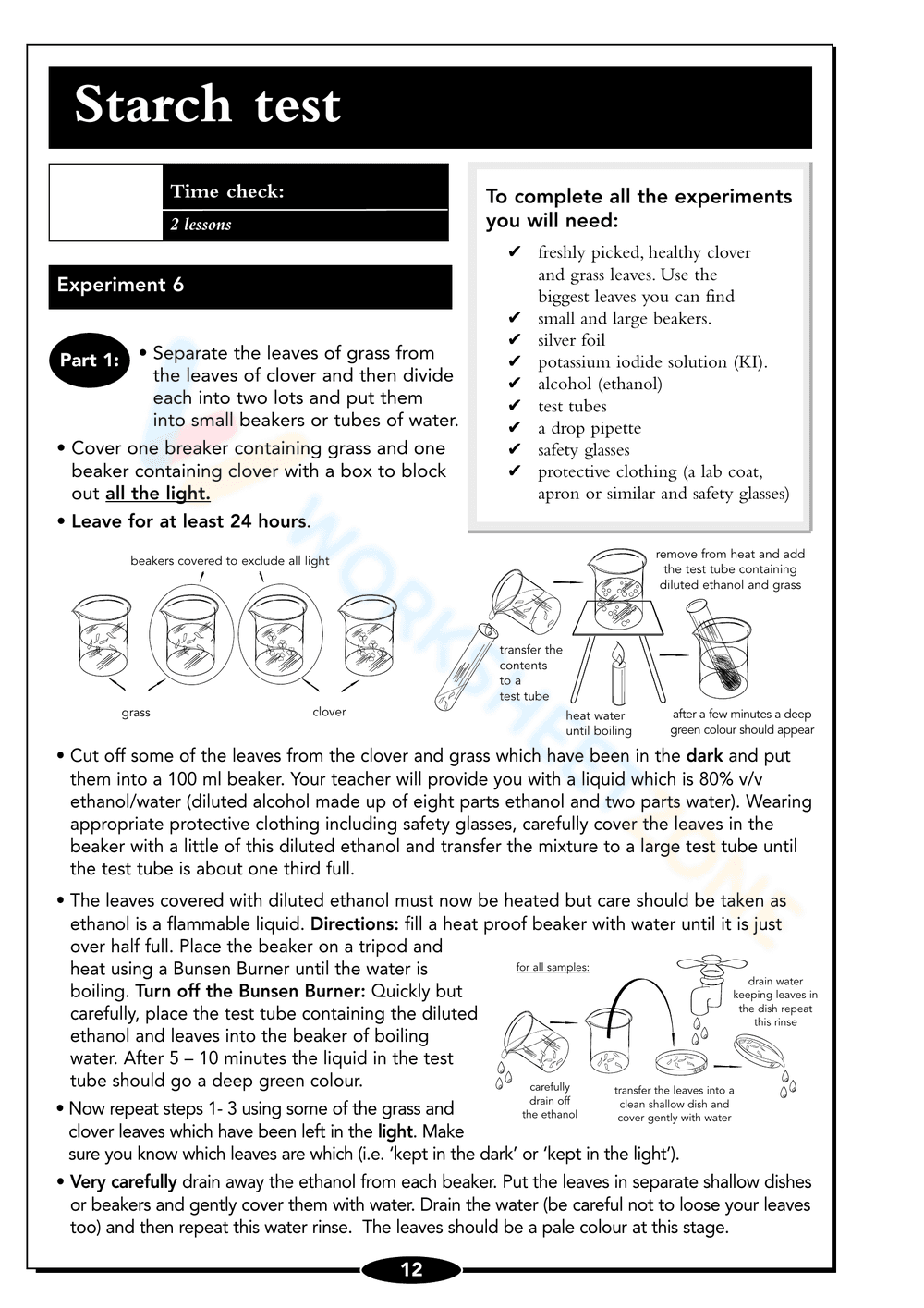 Seed Germination Worksheet: Understand Plant Growth - Page 12