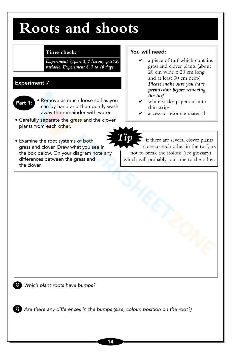 Seed Germination Worksheet: Understand Plant Growth - Page 14