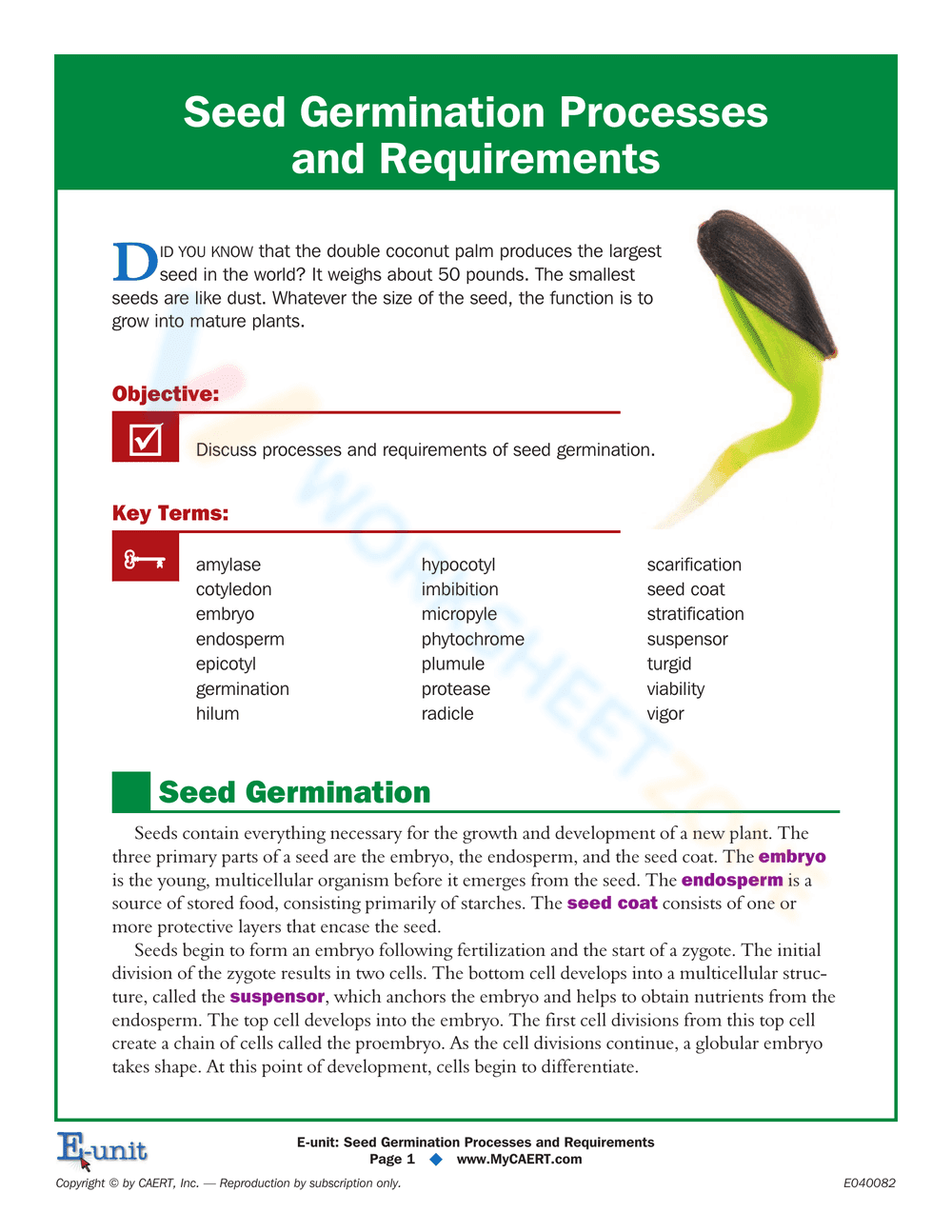 Seed Germination Processes: Learn Plant Life Cycle - Page 1