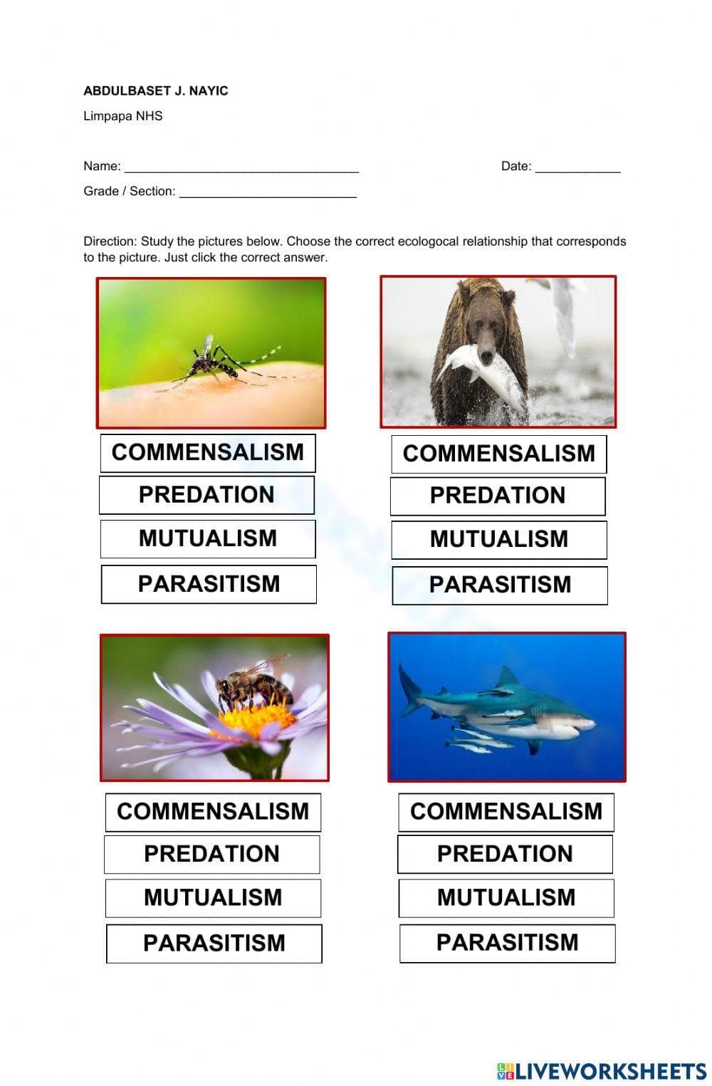 Ecological Relationships: Understanding Ecosystems - Page 1