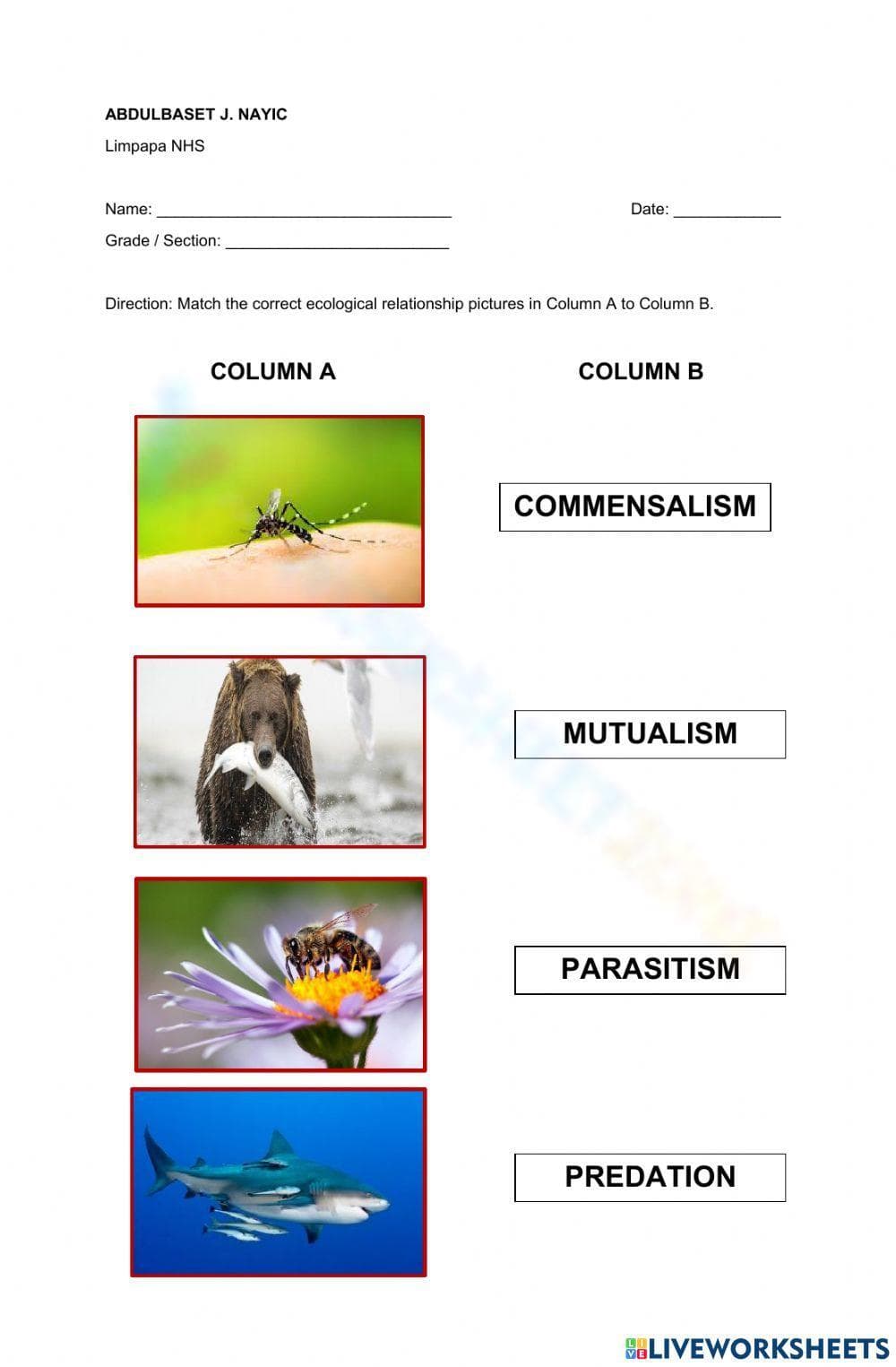 Matching Ecological Relationships: Worksheet Activity - Page 1