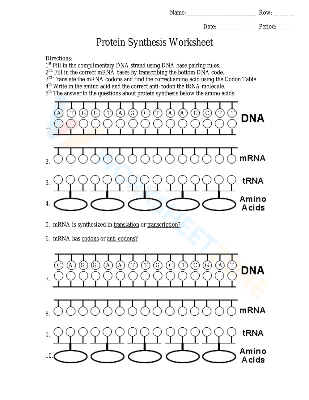 Protein Synthesis Worksheet: Understanding the Process - Page 2
