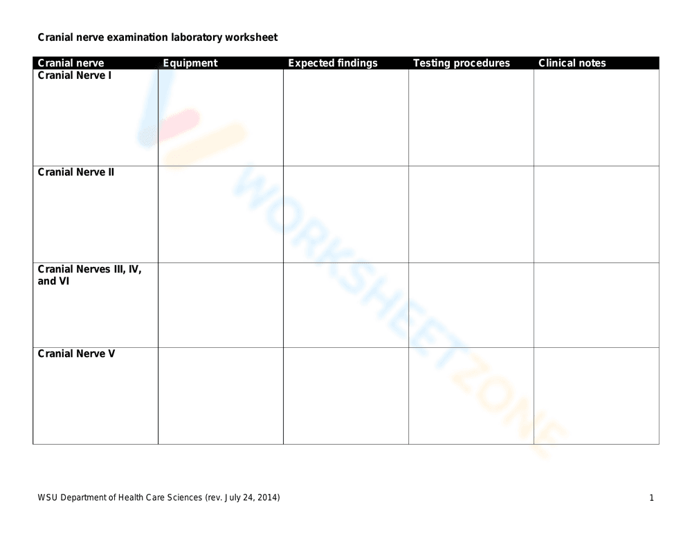 Cranial Nerve Examination Lab Worksheet: Anatomy - Page 1