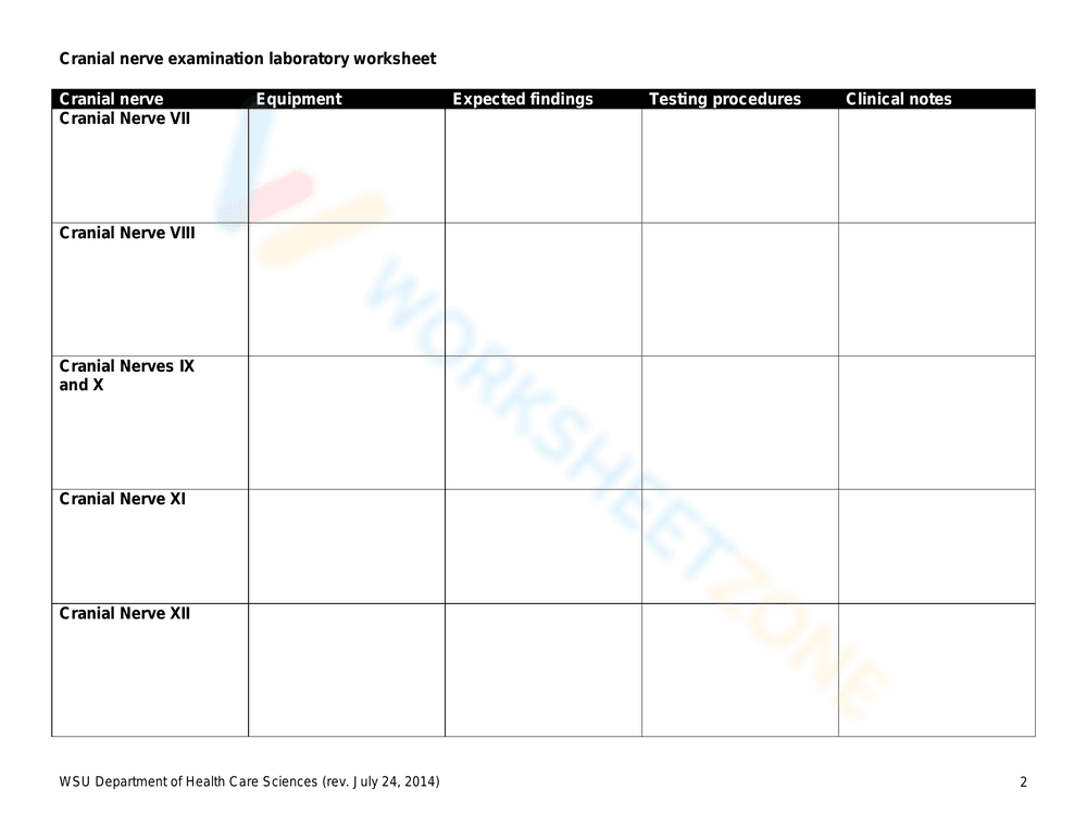 Cranial Nerve Examination Lab Worksheet: Anatomy - Page 2