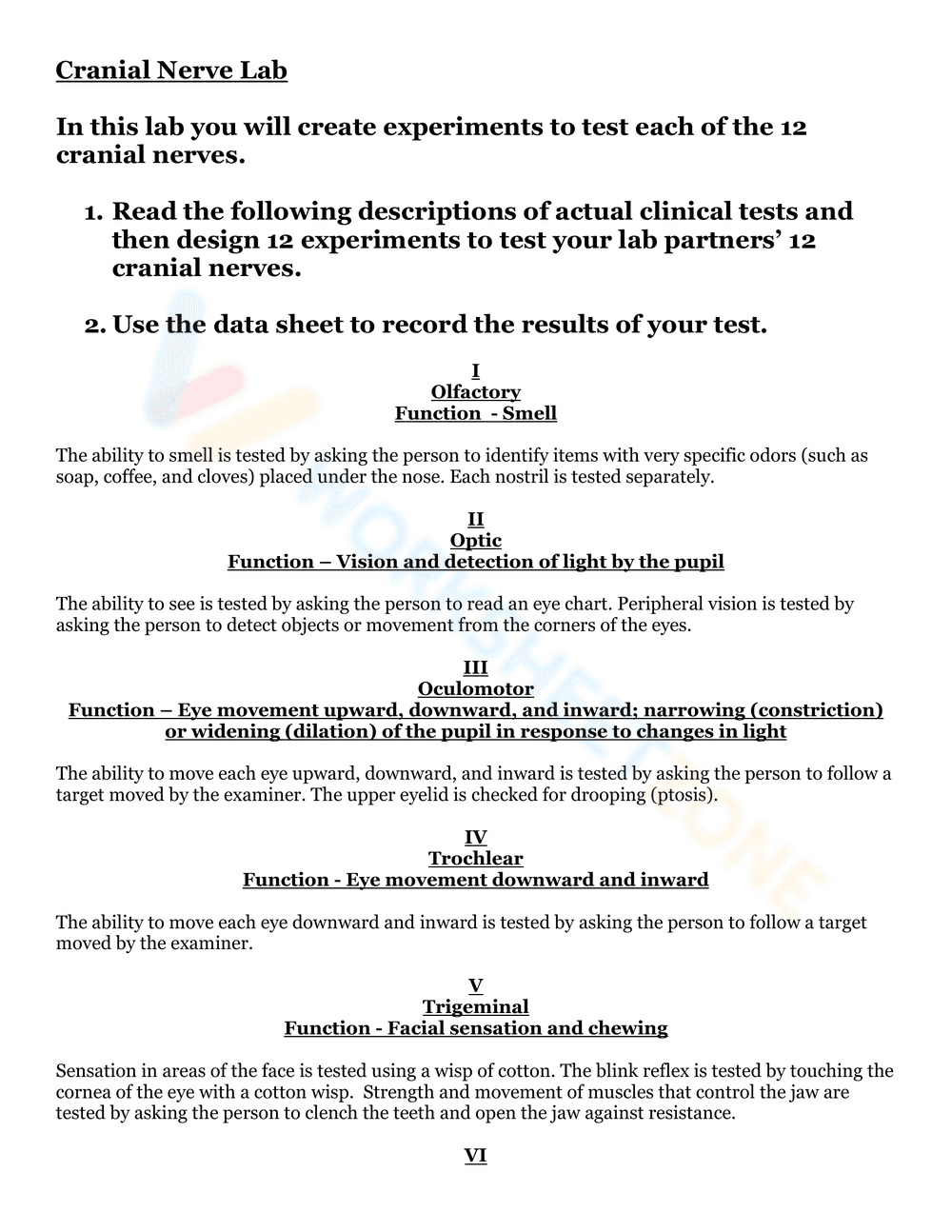 Cranial Nerve Table Worksheet: Anatomy Study - Page 3