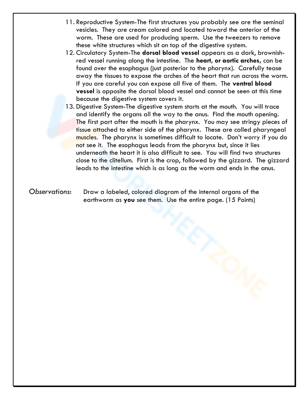 Earthworm Anatomy Dissection Worksheet - Page 2