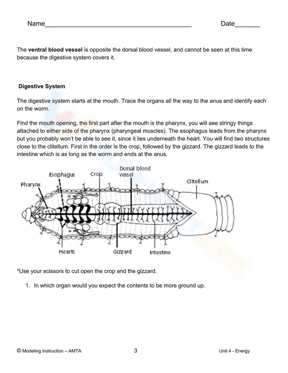 Earthworm Dissection Worksheet: Biology Lab - Page 2