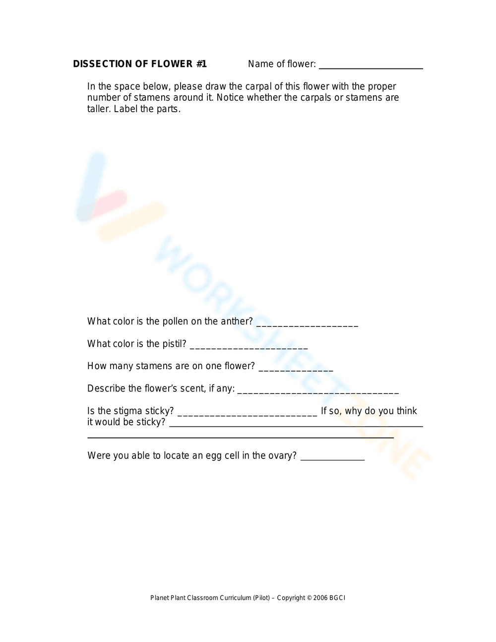 Flower Dissection Lab: Botany Worksheet - Page 5