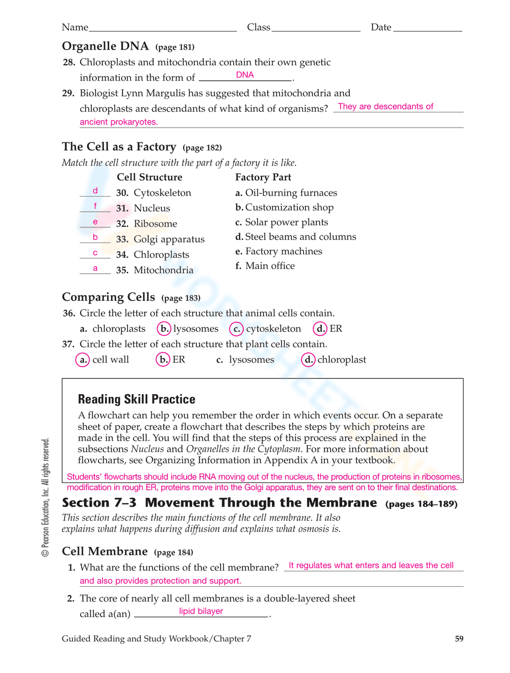Cell Structure and Function Worksheet - Page 5