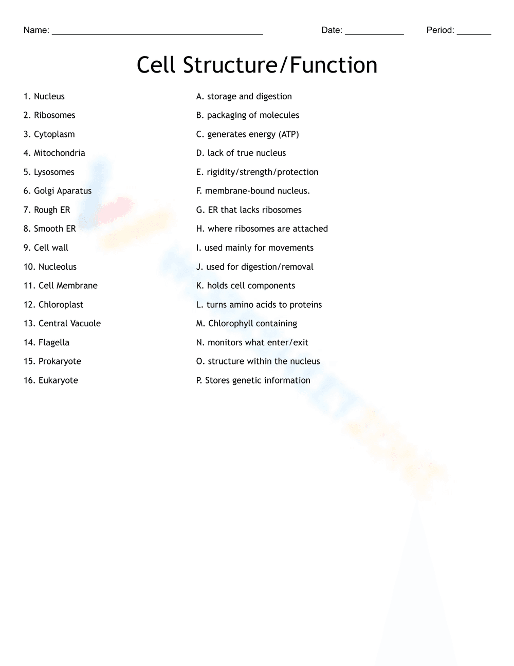 Explore Cell Structure and Function in Detail - Page 1