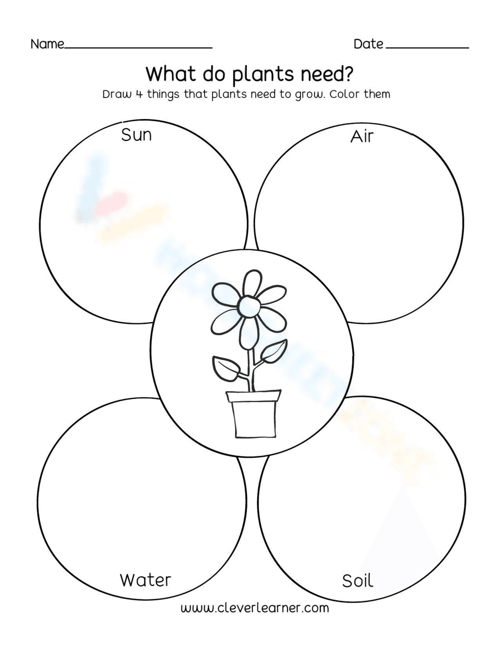 What Do Plants Need Worksheet - Page 1