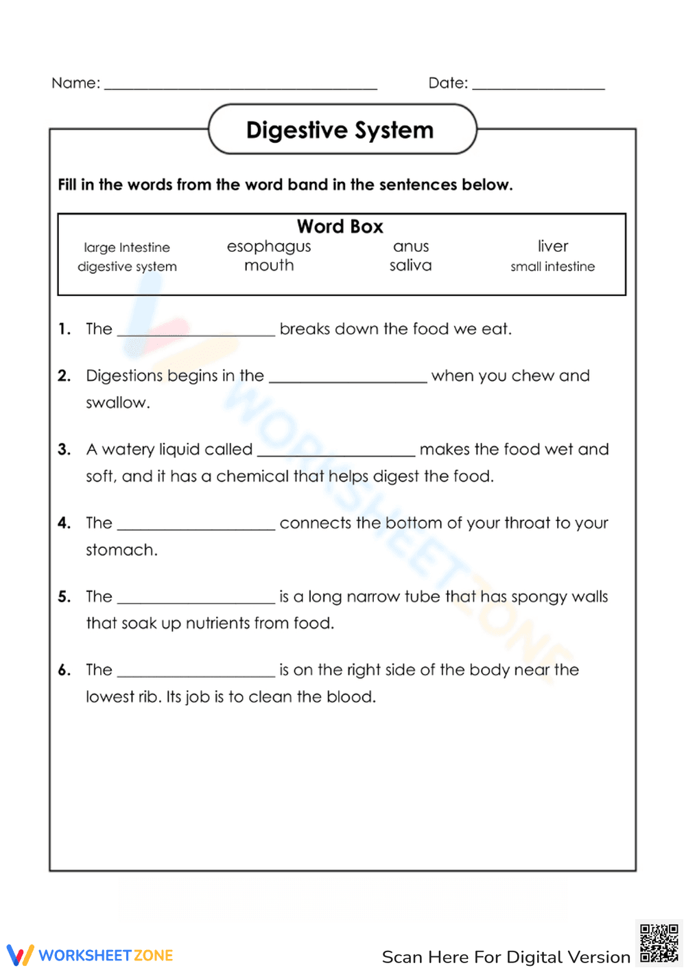 Fun Digestive System Learning Worksheet - Page 1