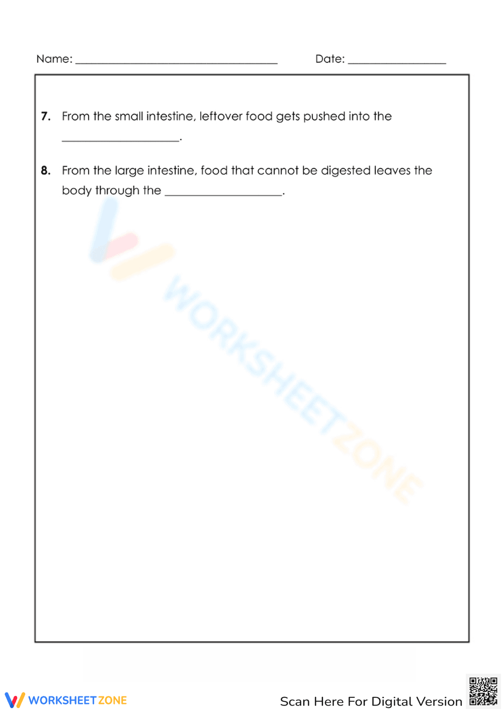 Fun Digestive System Learning Worksheet - Page 2