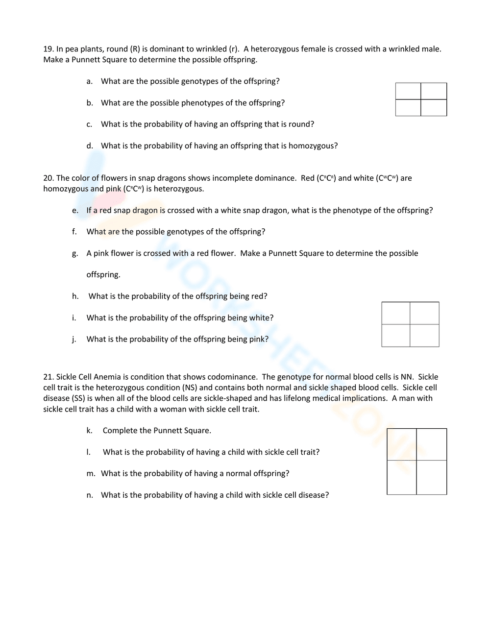 Punnett Square Excercises - Page 3