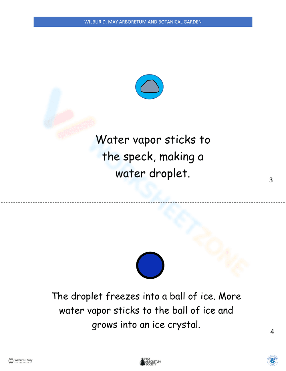 Snowflake Lifecycle - Page 1