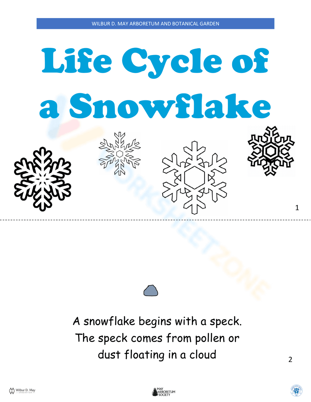 Snowflake Lifecycle - Page 4