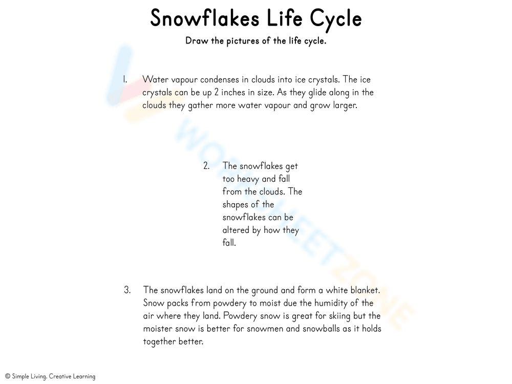 Snowflake life cycle - Page 13