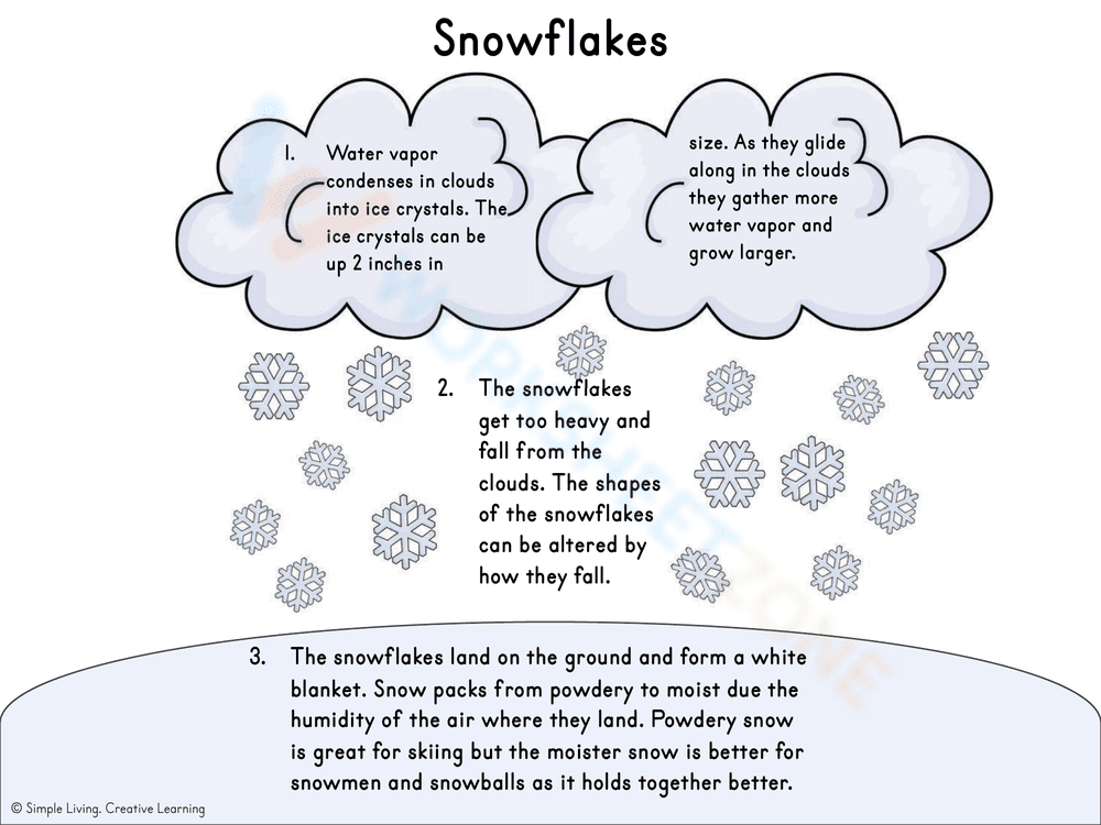 Snowflake life cycle - Page 6