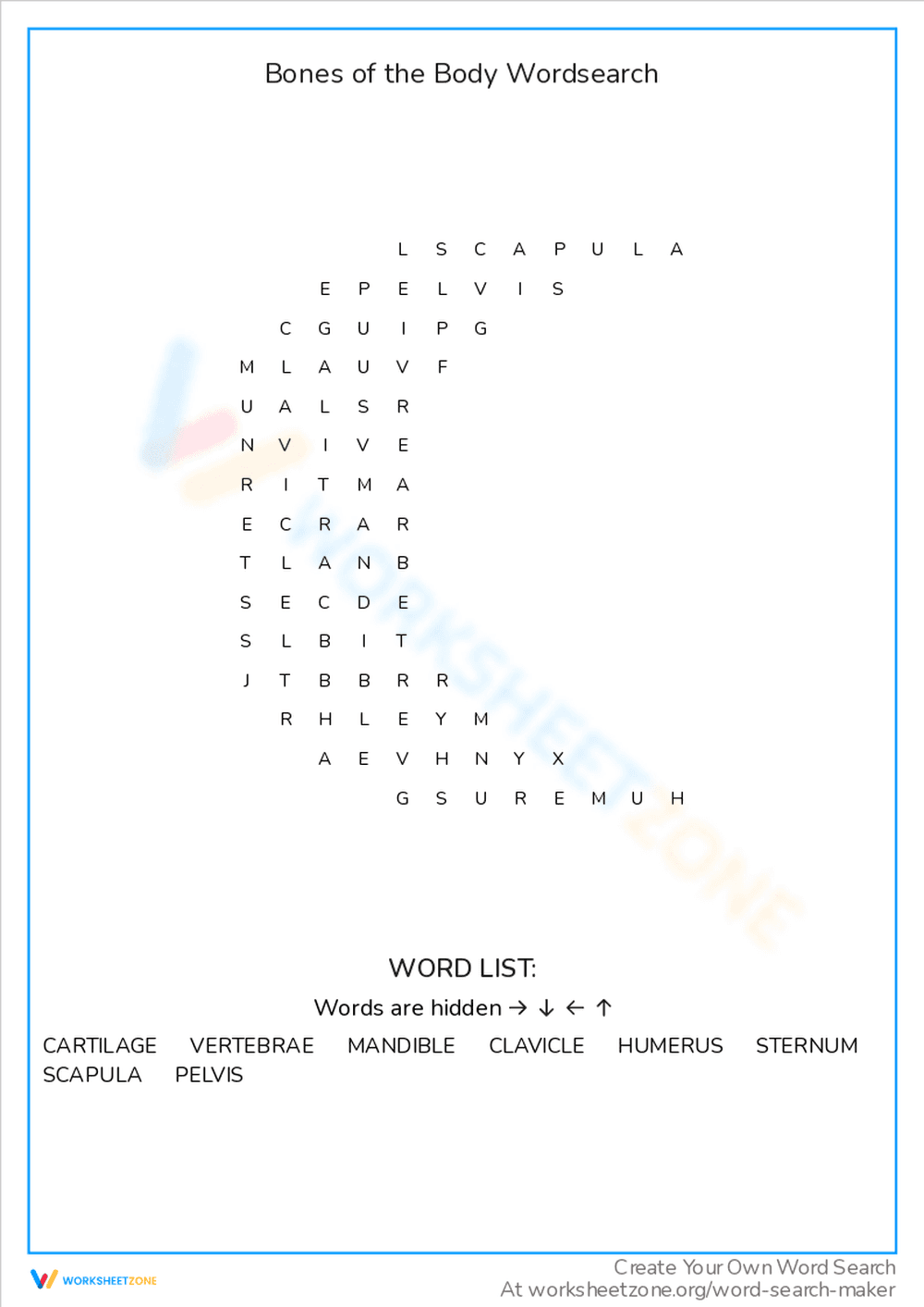 Bones of the Body Word Search Adventure - Page 1