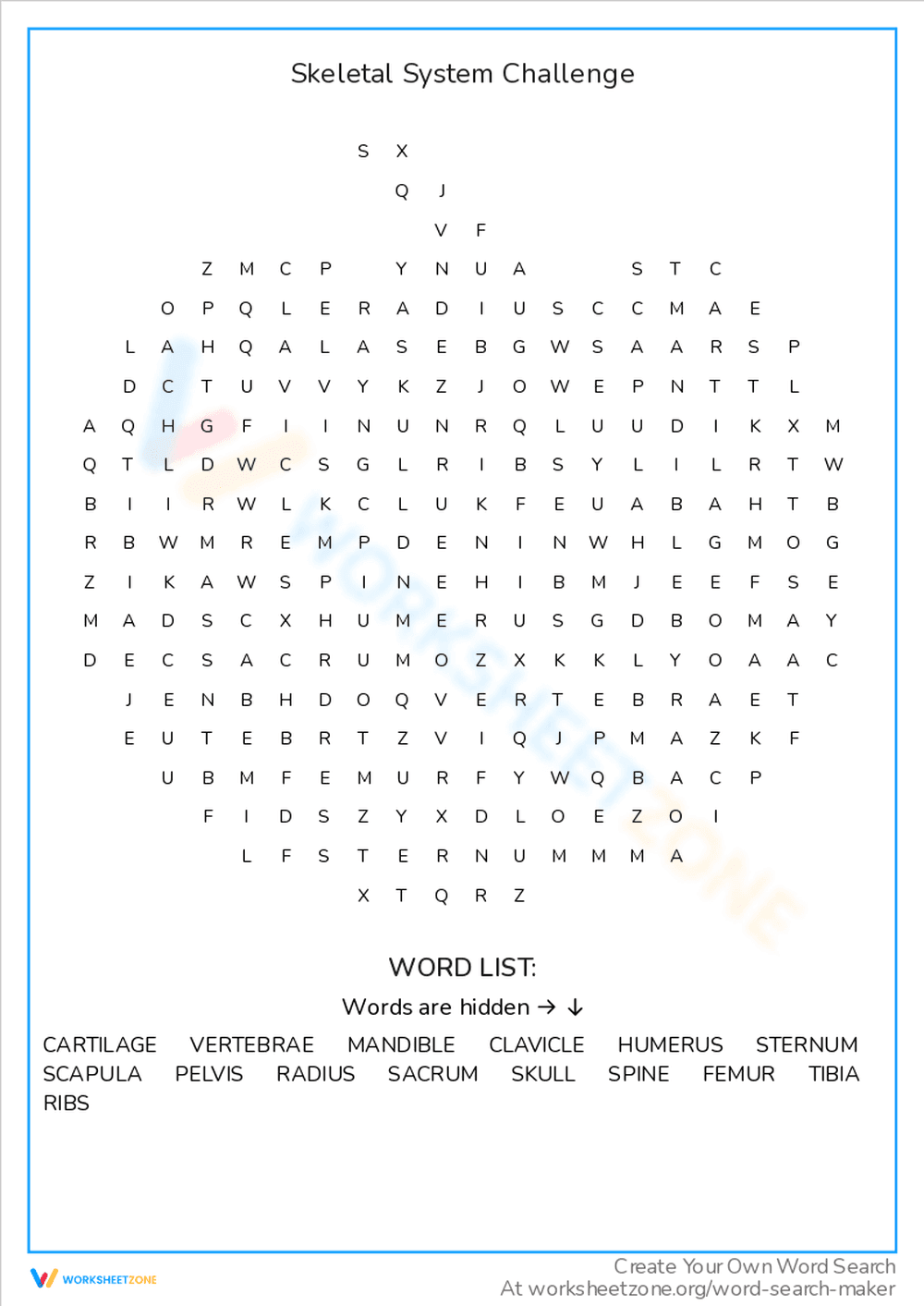 Skeletal System Challenge: Word Search Fun - Page 1