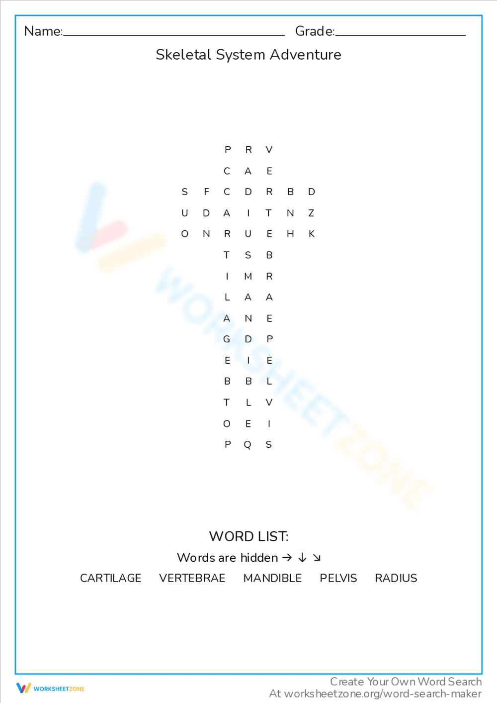 Skeletal System Adventure: A Word Search Quest - Page 1