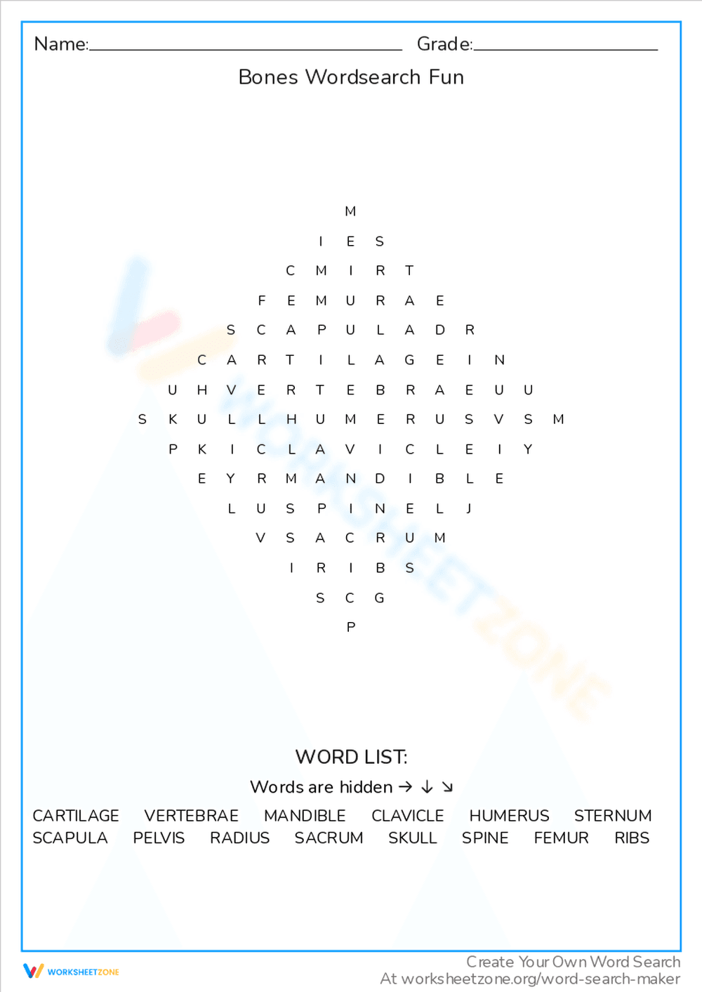 Bones Word Search Fun: A Skeletal Game - Page 1