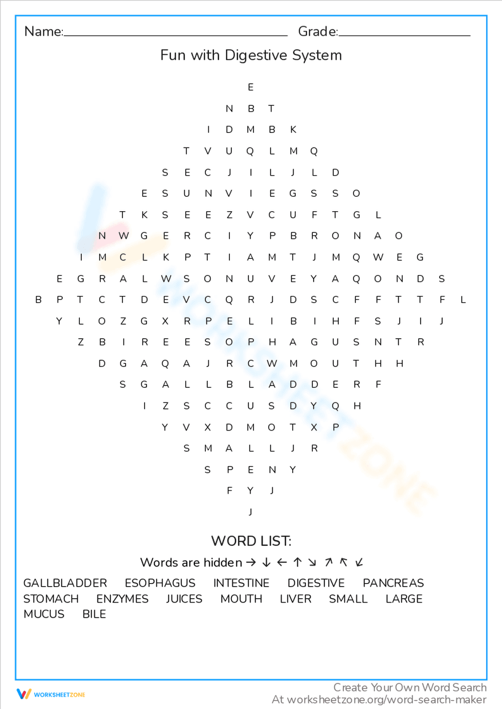 Fun with Digestive System Word Search - Page 1