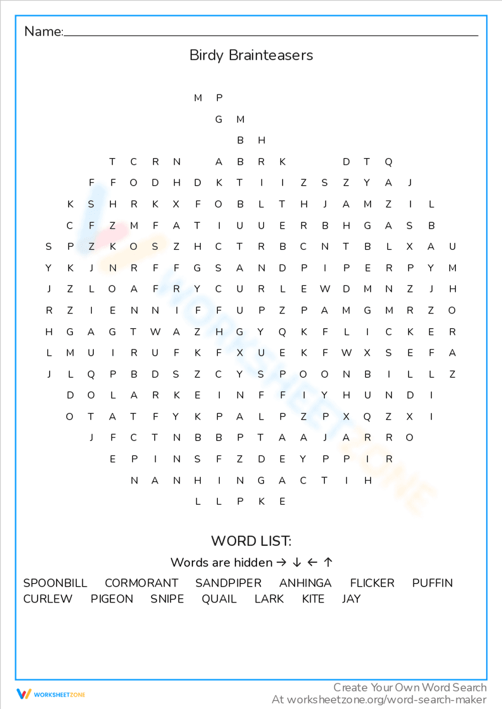 Birdy Brainteasers Worksheet - Page 1