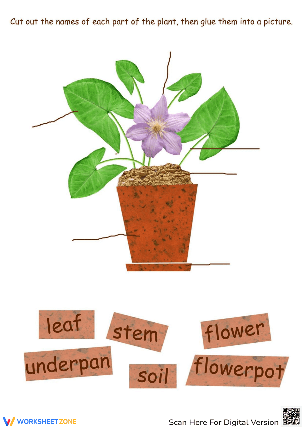 Explore Parts of a Plant with This Activity - Page 1
