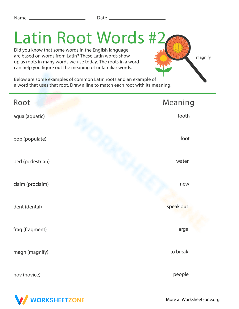 Exploring Latin Root Words to Enhance Vocabulary - Page 1