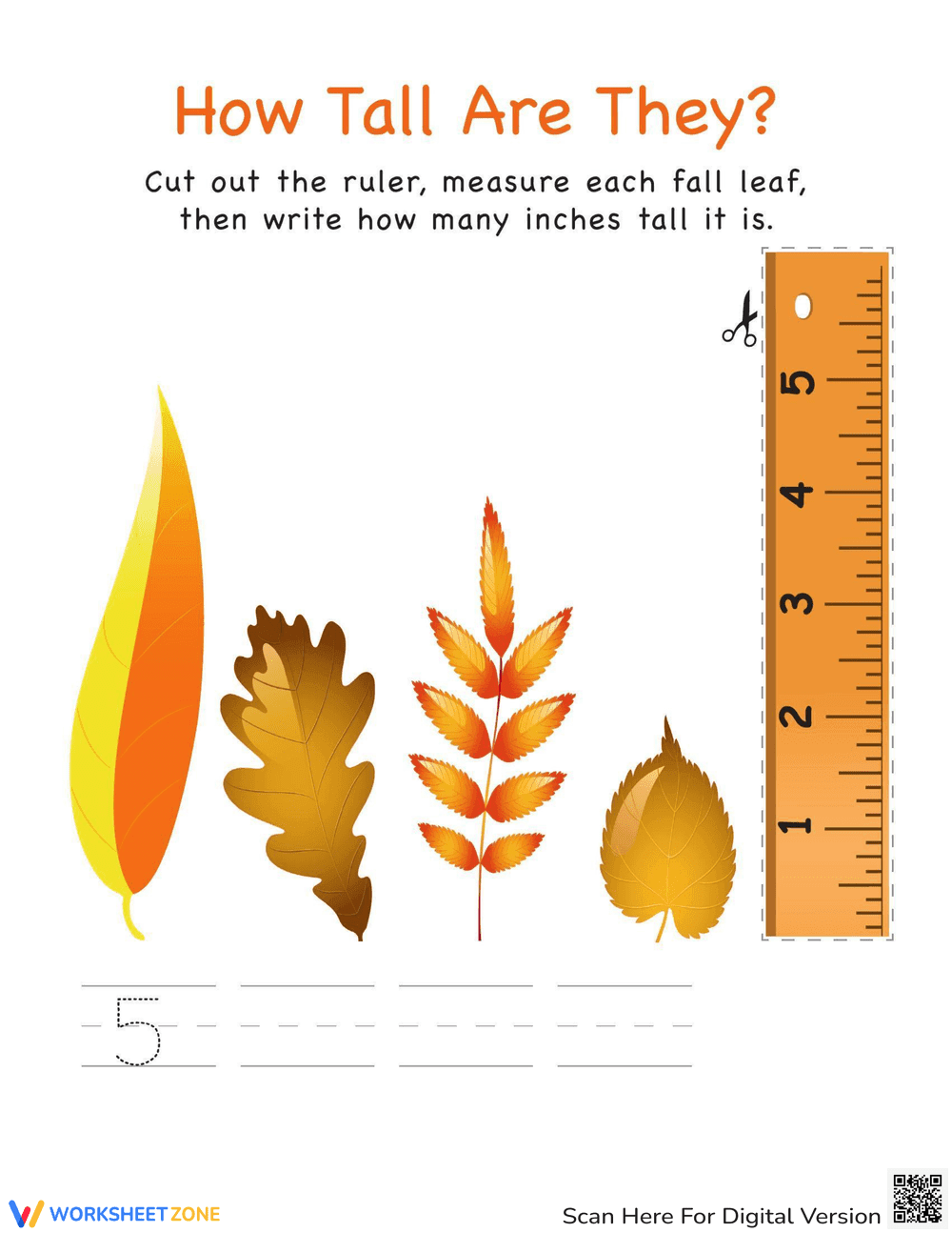 Measuring Leaves with Numbers - Page 1