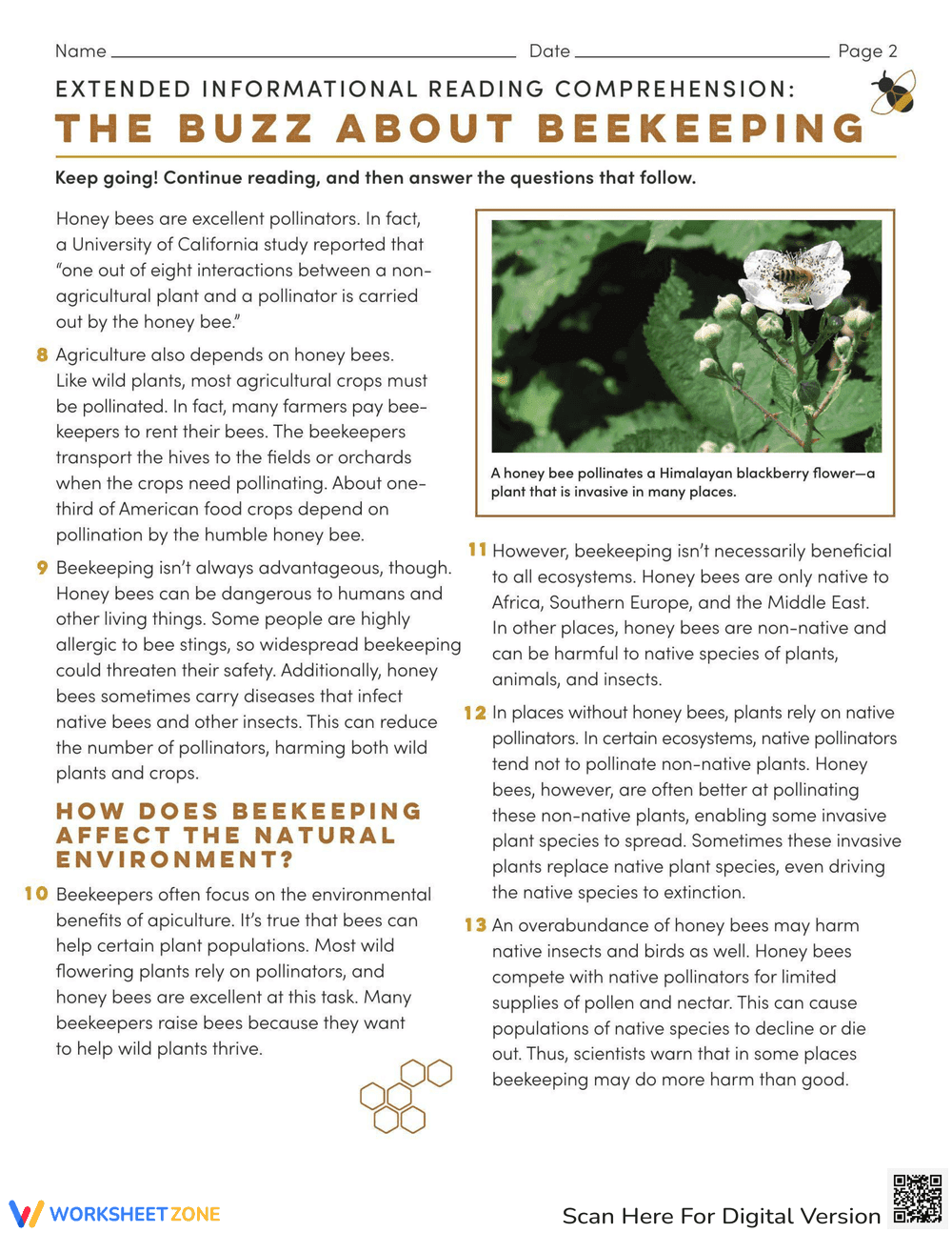 Reading Comprehension: The Buzz About Beekeeping - Page 2