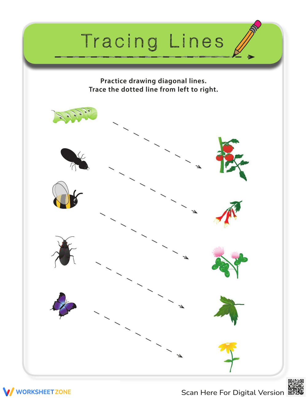 Diagonal Lines: Bugs - Page 1
