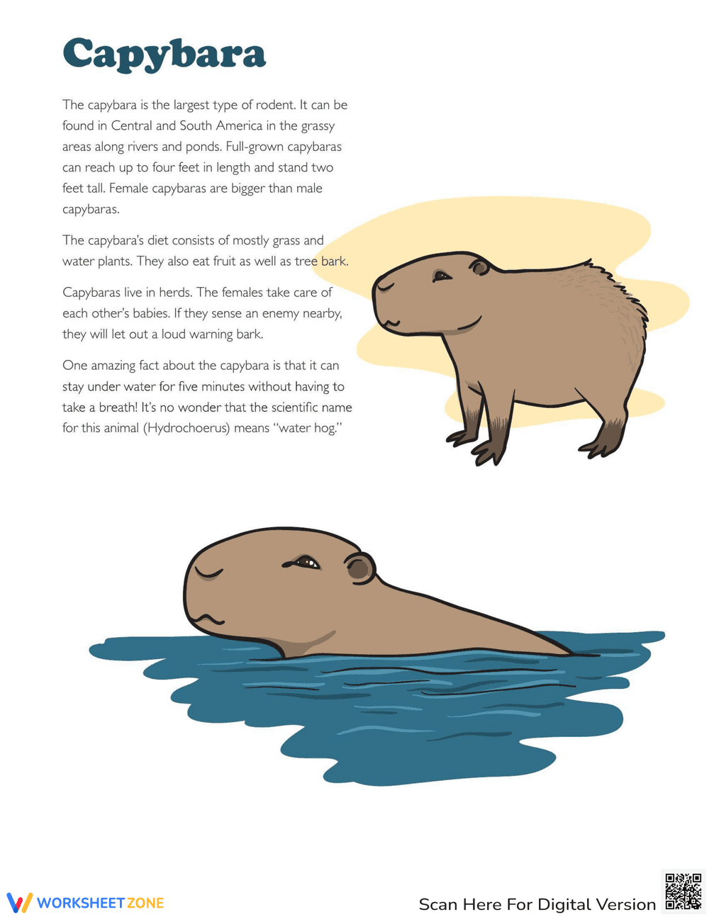 Amazing Facts About Capybaras - Page 1