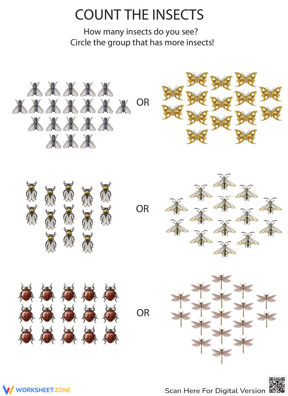 Count the Insects Counting Practice - Page 1