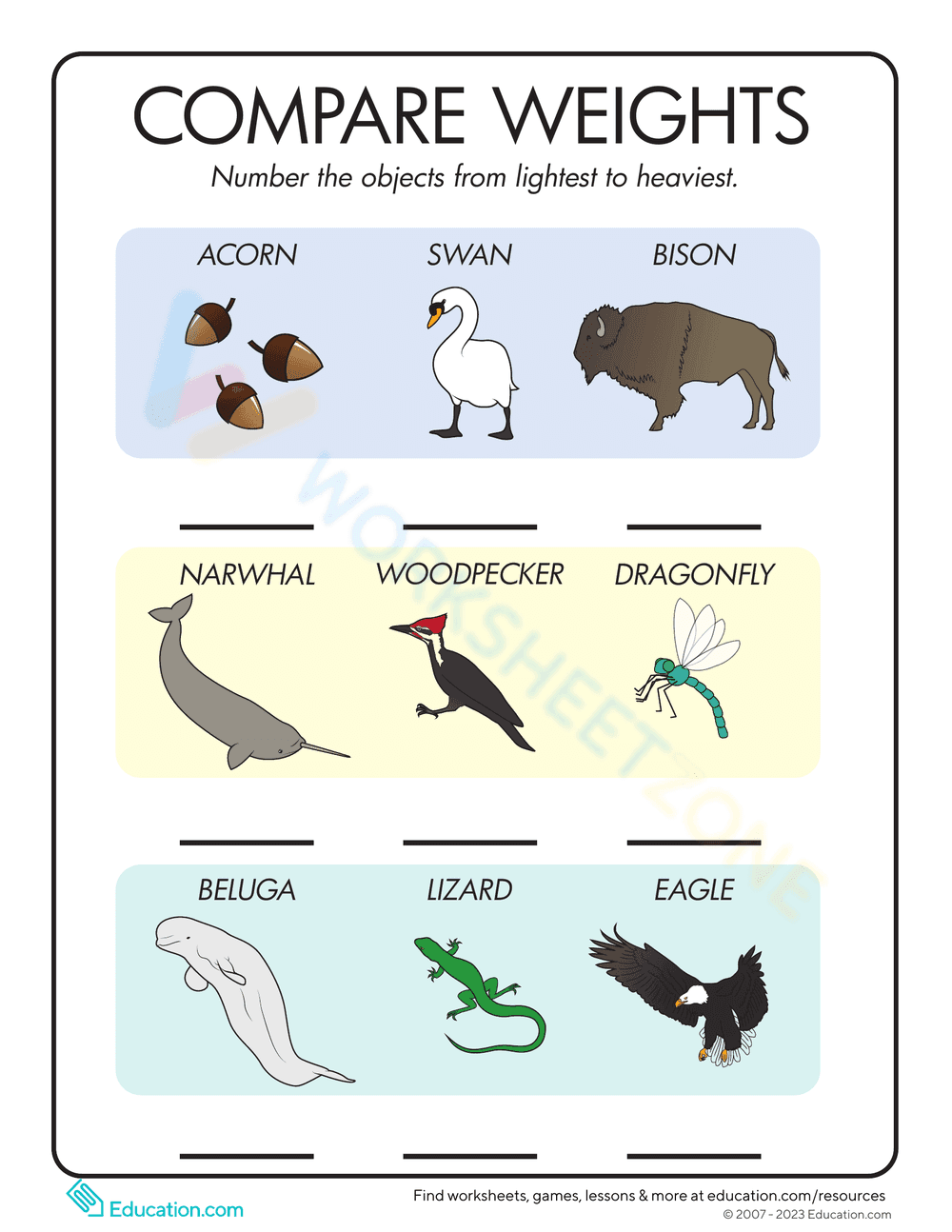 Compare Weight Worksheet - Page 1