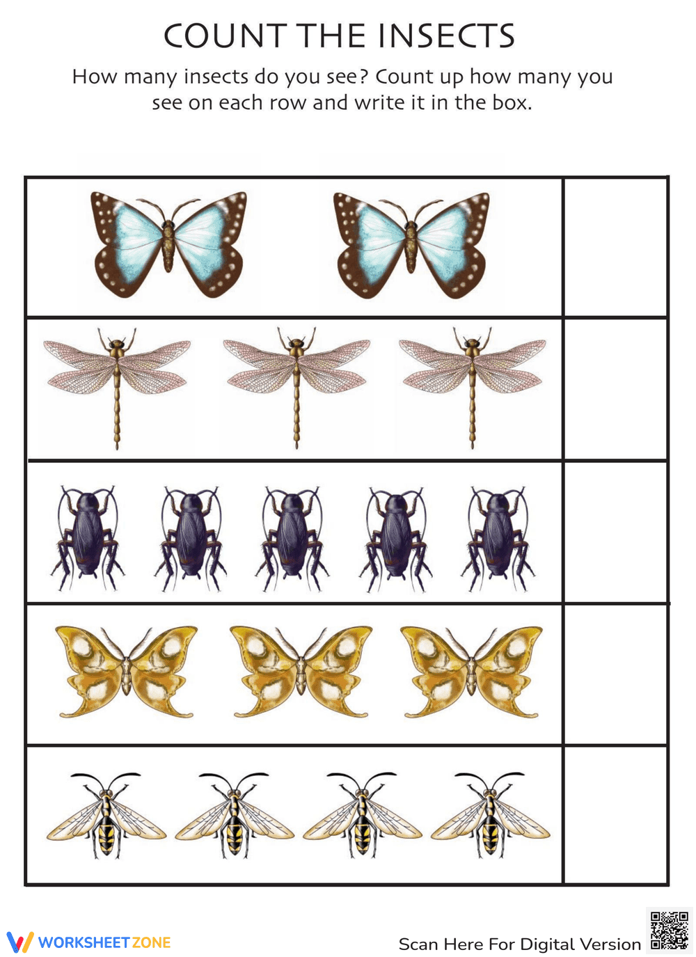 Count the Insects Worksheet - Page 1