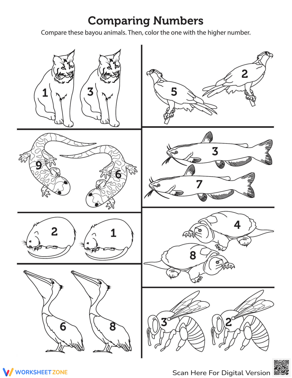 Animal Comparison: Comparing Bayou Animals - Page 1