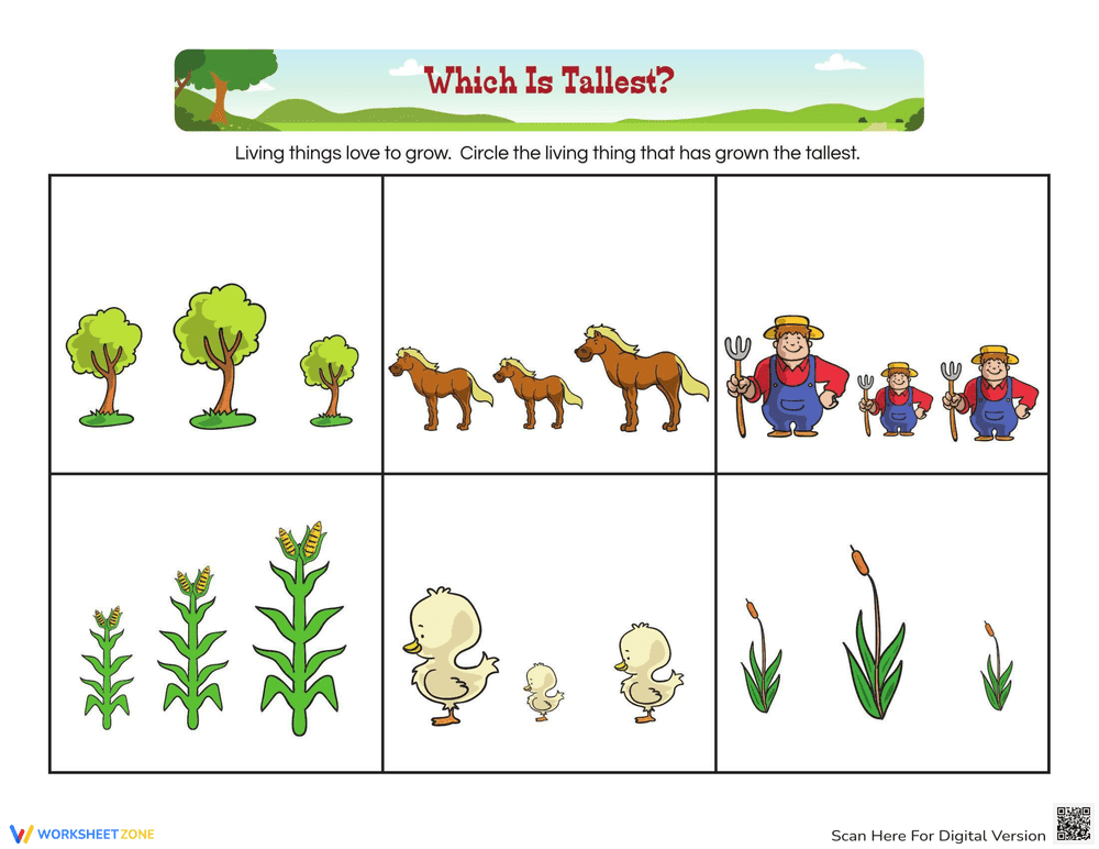 Comparing Heights: Learning Tallest - Page 1