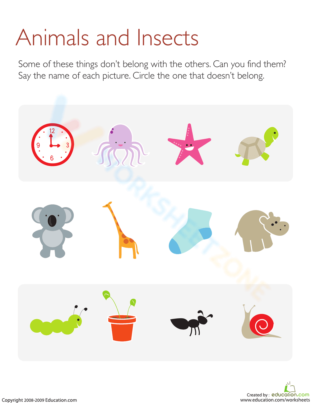 What Does Not Belong: Animals - Page 1