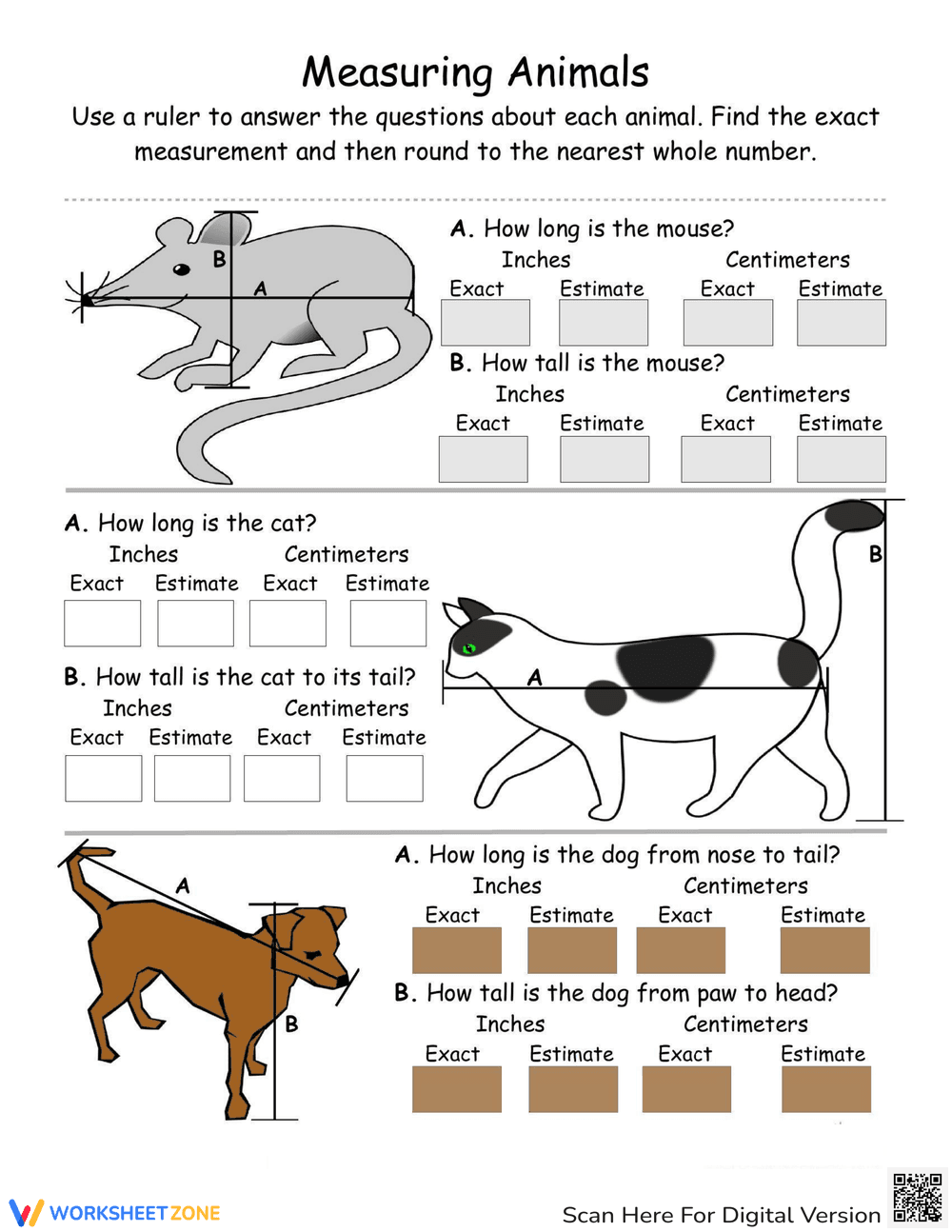 Ruler Measurement Activity - Page 1