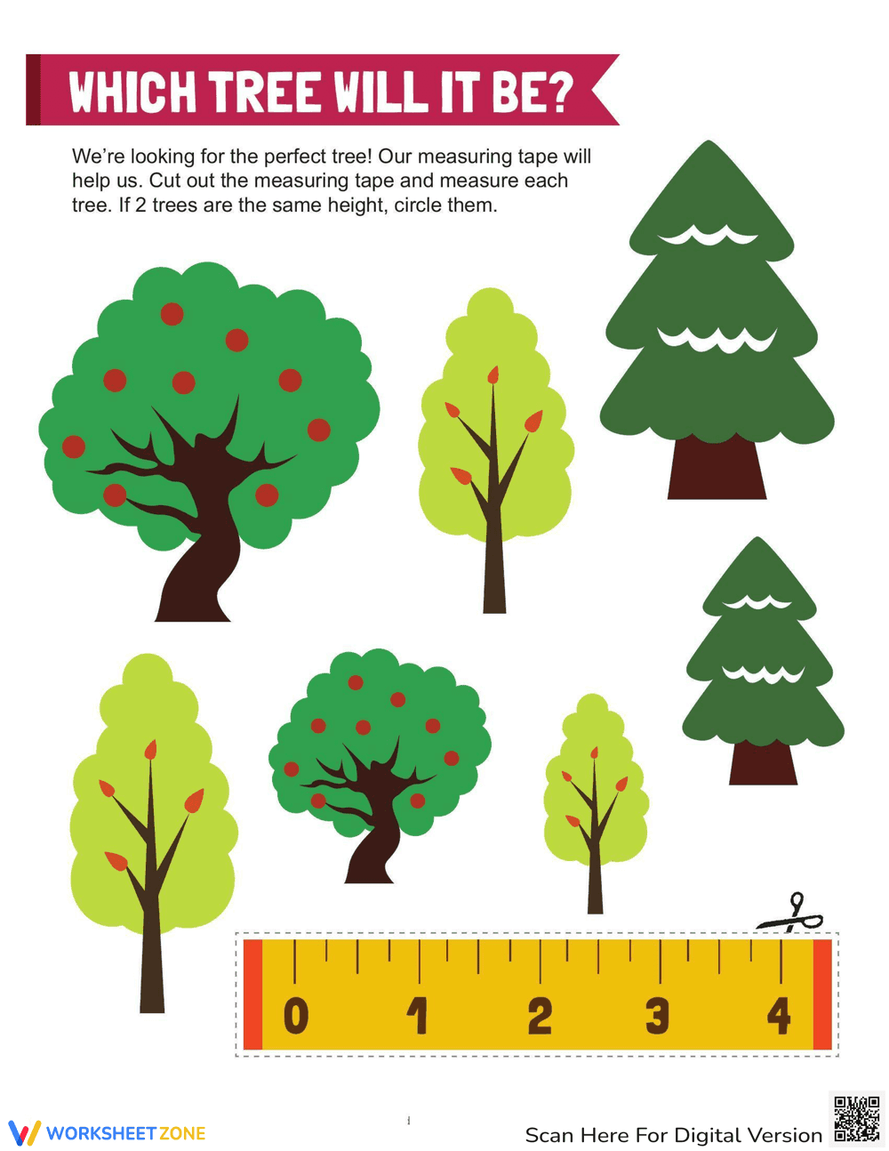 Tree Measurements: Measuring Trees - Page 1