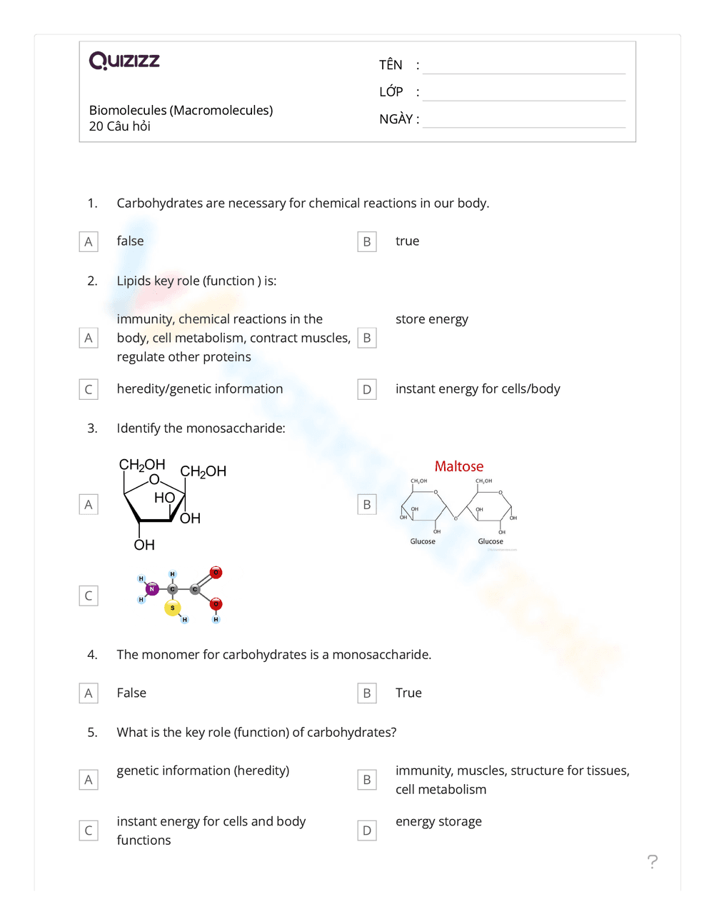 Quizizz Biomolecules and Macromolecules Worksheet - Page 1